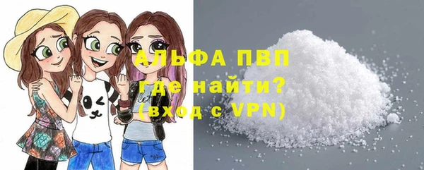 гидра Коряжма